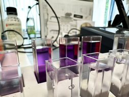 Chemische Untersuchungen